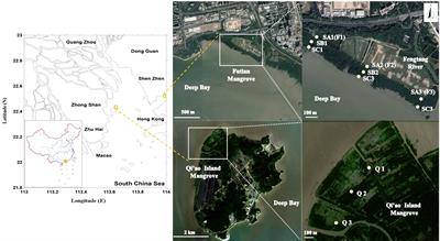 Effects of wetland, tide, and season on benthic biofilms and related sediment properties in mangrove ecosystems